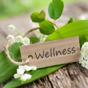 Wellness The Self Centre
