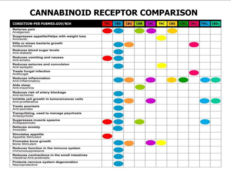 cannabinoid receptor chart comparison The Self Centre Massage & Wellness